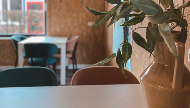 Zorg – Zorg Inrichting – Inrichting Zorg – Ross Tucker Projectinterieur (10)