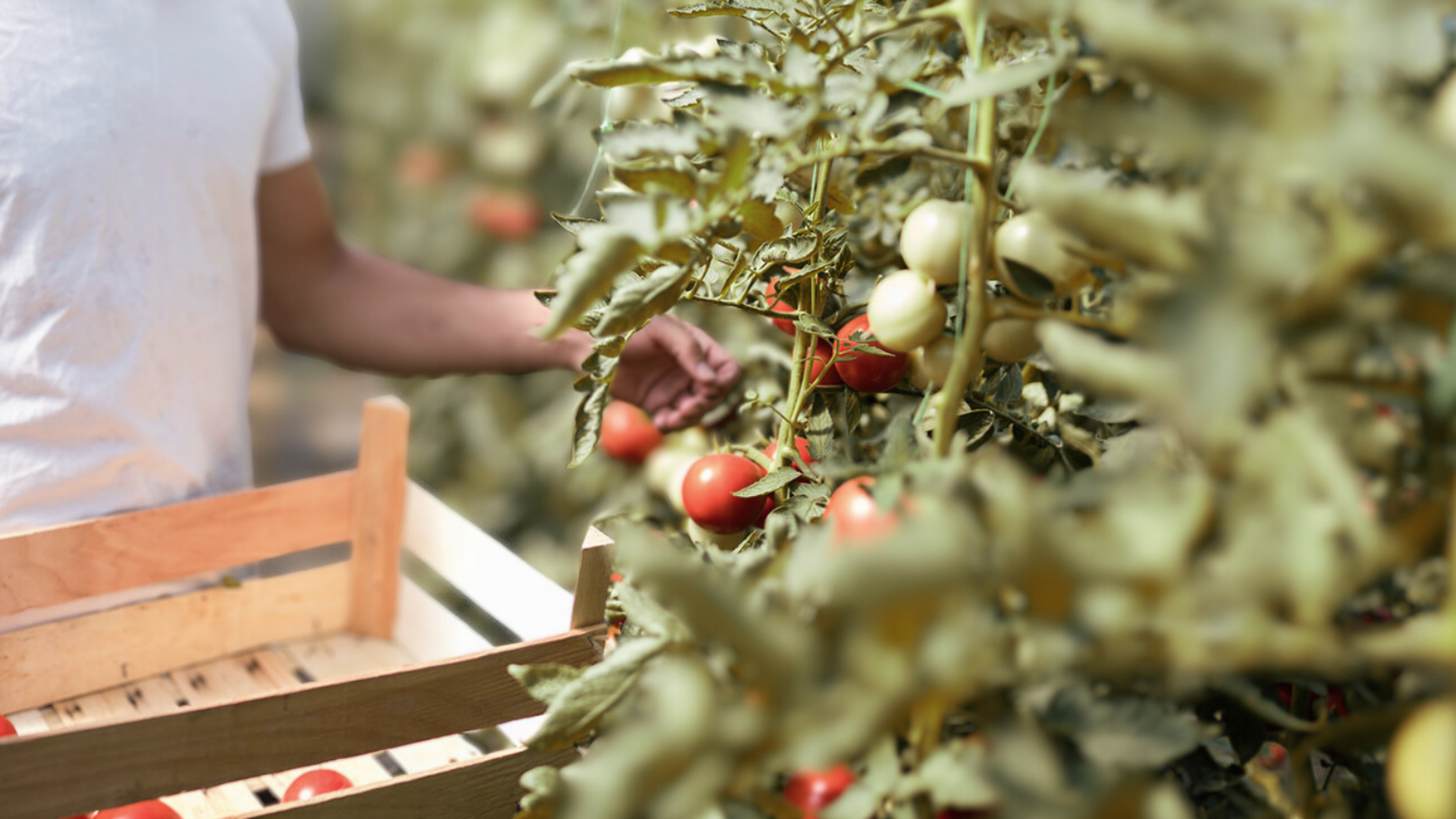 inrichting huisvesting EU‑medewerkers, inrichting arbeidsmigranten, projectinrichting arbeidsmigranten, interieur huisvesting arbeidsmigranten