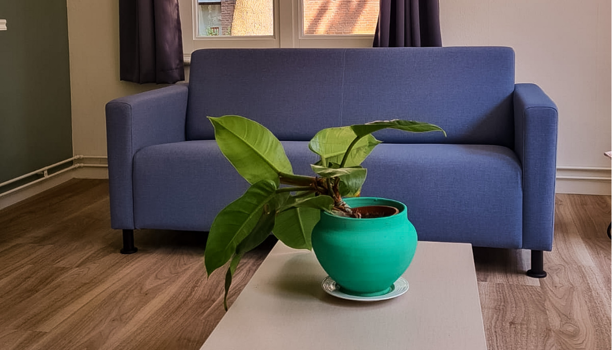 Universiteit Maastricht Ross Tucker Projectinterieur Studentenvesting (3)