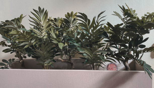 Zorg – Zorg Inrichting – Inrichting Zorg – Ross Tucker Projectinterieur (11)