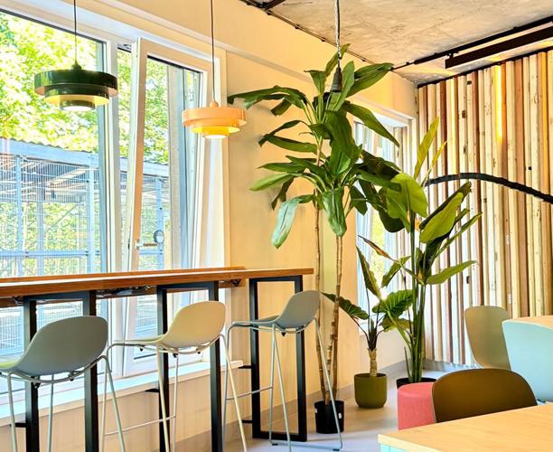 Entree ruimte Idealis Asserpark