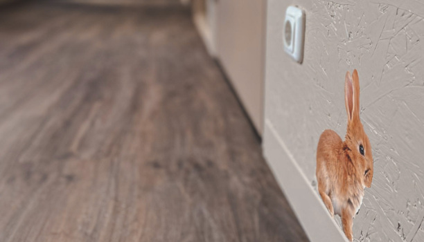Zorg – Zorg Inrichting – Inrichting Zorg – Ross Tucker Projectinterieur (3)