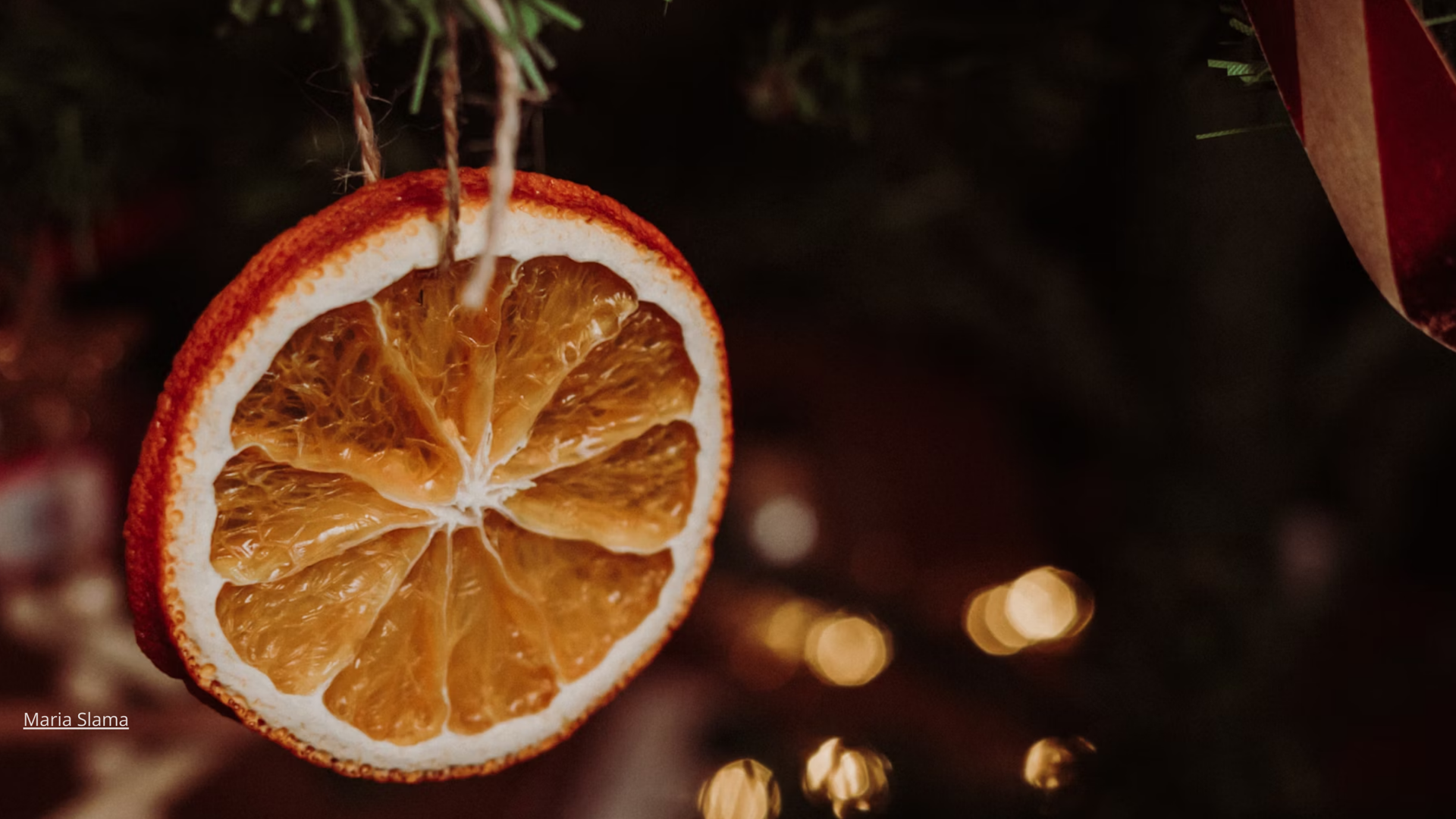 Hero Formaat Ross Tucker Projectinterieur (1)